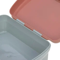 Set lunch box About Friends renard