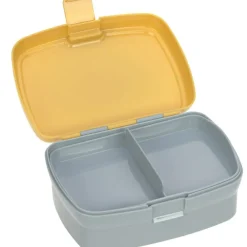 Set lunch box About Friends lion