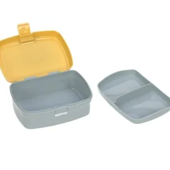 Set lunch box About Friends lion