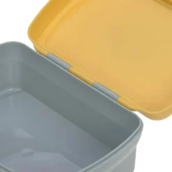 Set lunch box About Friends lion