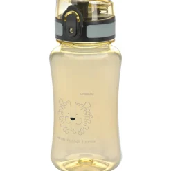 Set lunch box About Friends lion