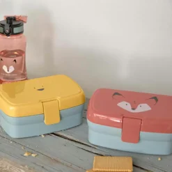 Set lunch box About Friends lion