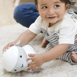 Simon le Mouton Les Animaux Musicaux