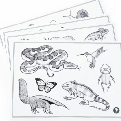 Tablette lumineuse Kidywolf Tout autour du monde