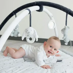 Tapis d'éveil avec arches Martin et ses copains