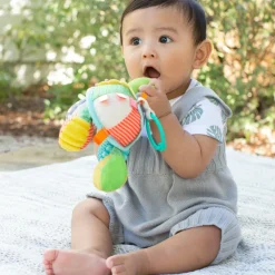 Tortue d'activités miroir