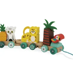 Train d'activités à tirer Tropik