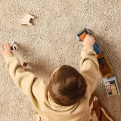 Train d'activités Animaux de la ferme Aiden