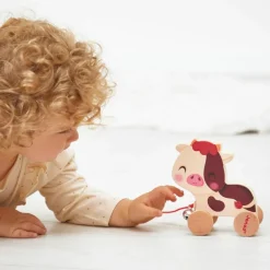 Vache à promener Ferme
