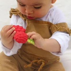 Valery la framboise en latex d'hévéa