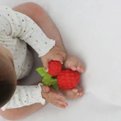 Valery la framboise en latex d'hévéa