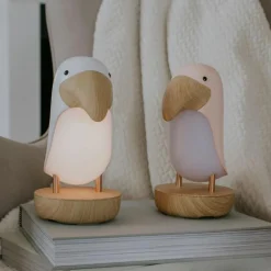 Veilleuse et enceinte Bluetooth Toucan Rose