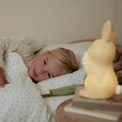 Veilleuse Lapin Fairy Garden