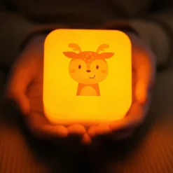 Veilleuse nomade Cube B Finley le Faon