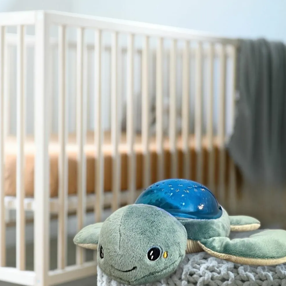 Veilleuse peluche bruits blancs Aqua dream tortue rechargeable