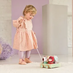 Voiture à formes à tirer Louis