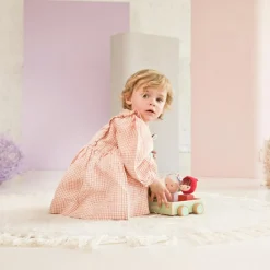 Voiture à formes à tirer Louis